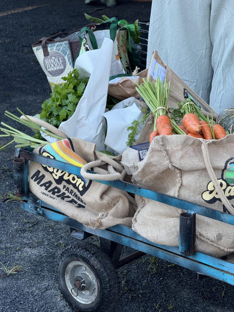 Jonathan's 11 local-approved things to do in Byron Bay, Australia. Including the weekly Byron Farmer's, every Thursday, selling fresh produce, live music, local treats.